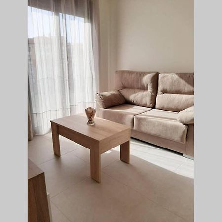 New Apartment In The Center-Terrace & Free Parking Málaga Extérieur photo